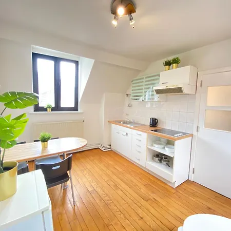Apartment Large Authentic Antwerp